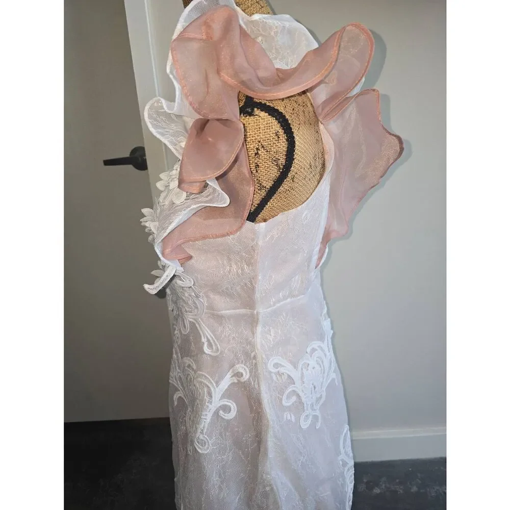 Aimili Lace Lined Dress - Picture 7 of 14